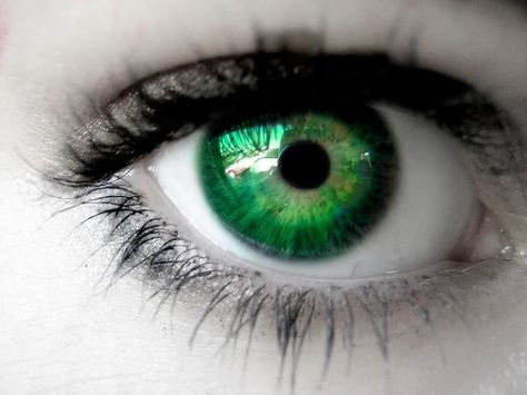 CBD and Eye Health: Exploring the Potential Benefits